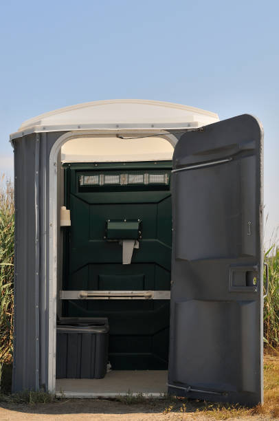 Best Affordable portable toilet rental  in Sebewaing, MI